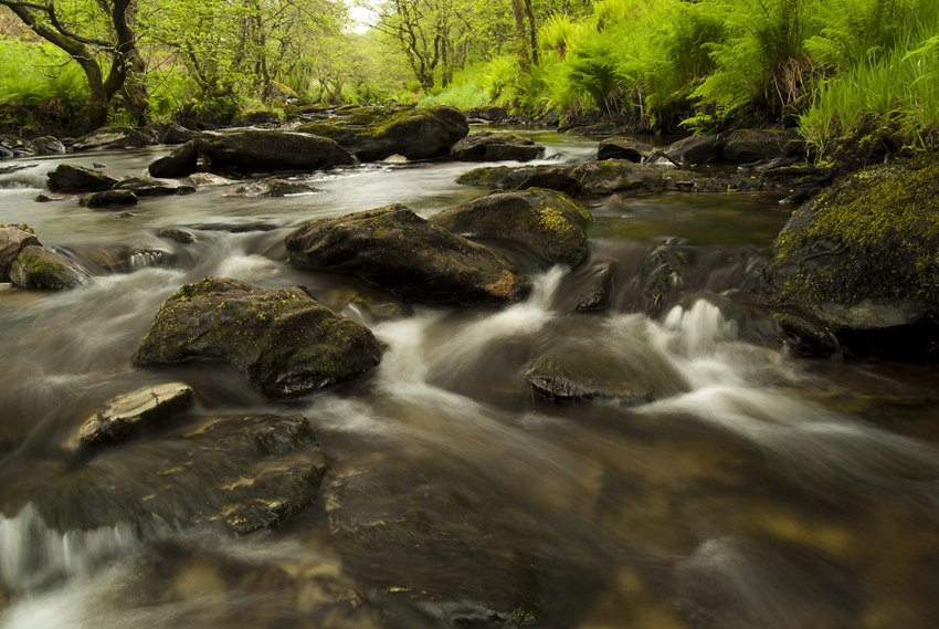 Getting-into-rivers-can-provide-great-photographic-opportunities-a-good-pair-or-rubber-boots-help-keep-the-water-out.jpg