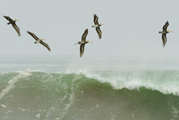 In the first of a three-part series, Tom Mason looks back at his summer trip capturing the wildlife, landscapes and people of Peru.