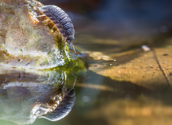 “The tension lasted all year” – Interview with #WexMondays Runner-up Mark Horton