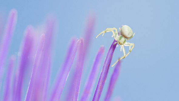 “The tension lasted all year” – Interview with #WexMondays Runner-up Mark Horton