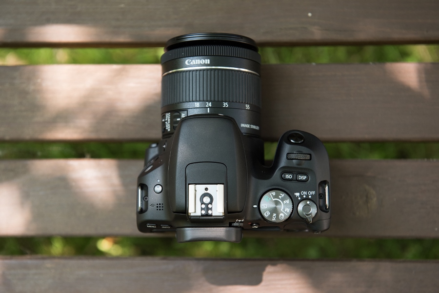 Nauwkeurig zuur escaleren Should I Buy a Canon EOS 200D or 1300D? | Wex Photo Video