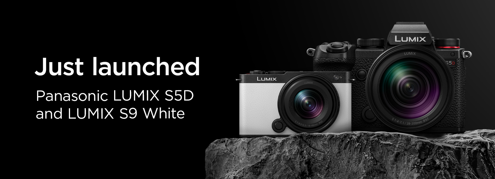 © Wex Photo Video Pana-S5DS9Launch-H-081024.jpg