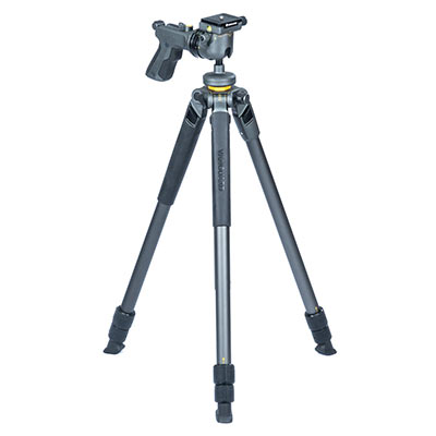 Vanguard Alta Pro 2 263AGH Tripod with Alta GH-100