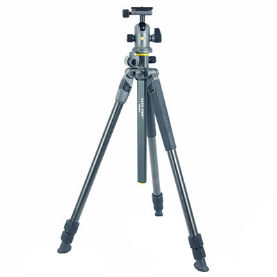 Vanguard Alta Pro 2+ 263CB 100 Carbon Fibre Tripod with Alta BH-100