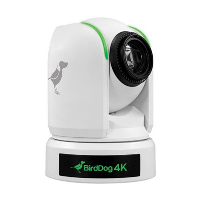 BirdDog P4K White 4K 10-Bit Full NDI PTZ