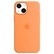 Apple Case iPhone 13 mini Silicone with MagSafe -