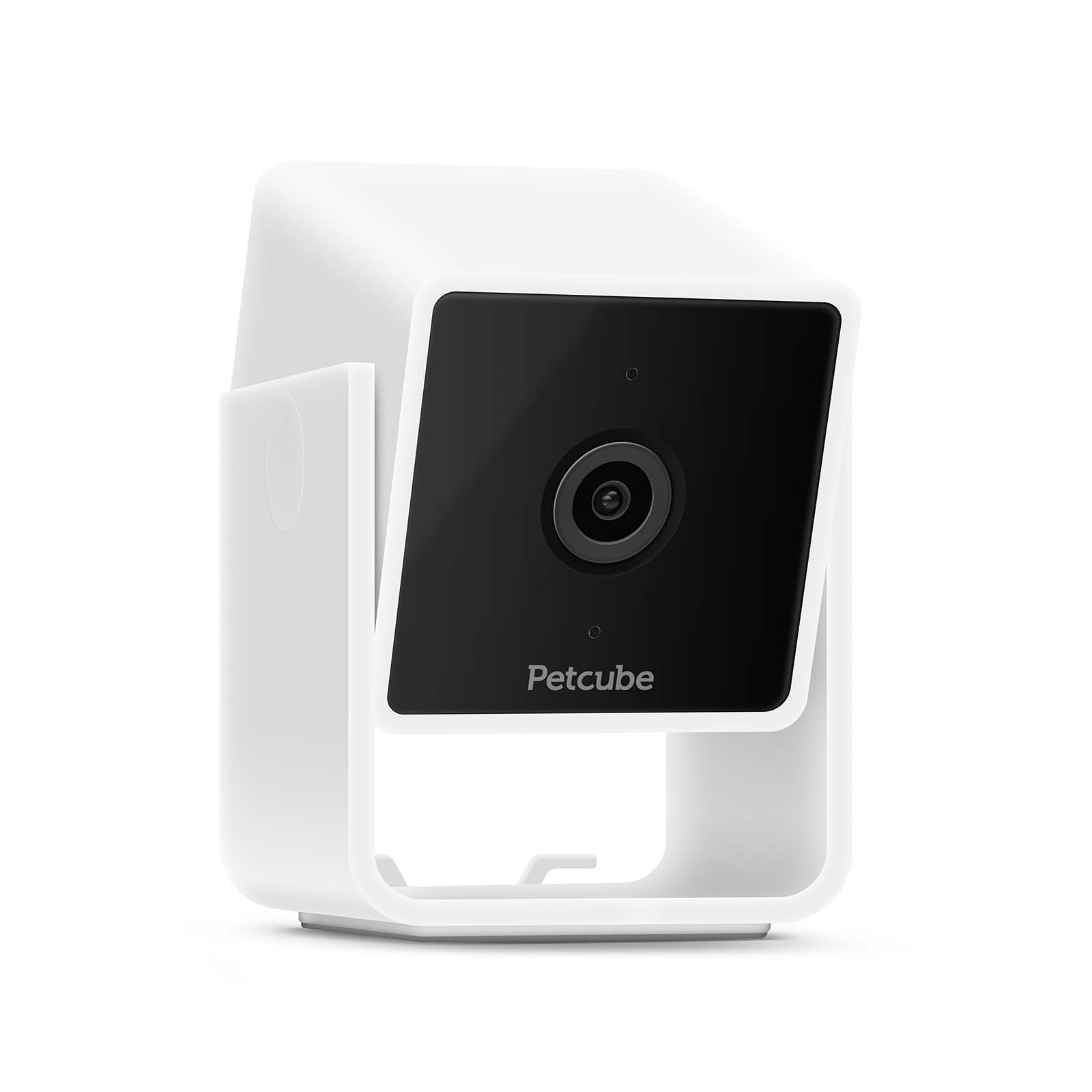 Petcube security 2024