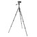 3 Legged Thing PUNKS Travis 2.0 Tripod Kit Black/Black with Airhed Trinity Multi Use Pan/Tilt Head