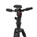 Manfrotto Befree GT PRO Carbon Fibre Tripod with 3-Way Head