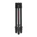 Manfrotto Befree GT PRO Carbon Fibre Tripod