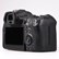 USED Canon EOS R6 Digital Camera Body