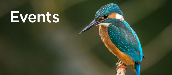 Wex Photo Video Events